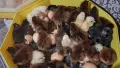 Малки пилета и пъдпъдъци!, снимка 3