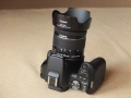 Canon 250D + 18-55 IS STM на само 7800 кадъра!, снимка 3
