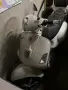 Vespa GTS 300 скутер, снимка 1