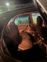 Citroen Xara Picasso 1.6TDI бартер, снимка 2