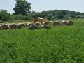 Продавам ролонни бали, снимка 5