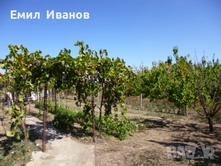имот в с.Ковачите, снимка 2 - Къщи - 54475843