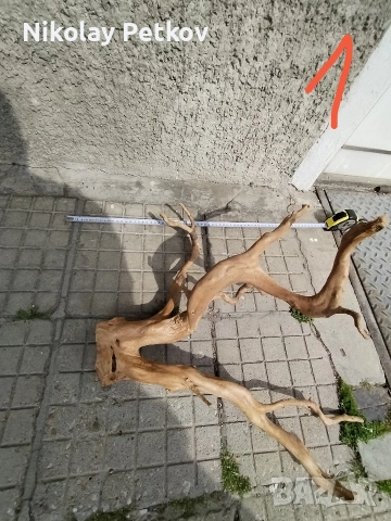 Корени за аквариум и терариум 