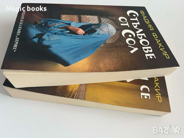 Стълбове от сол/Казвам се Салма - Фадия Факир, снимка 2 - Художествена литература - 53987195