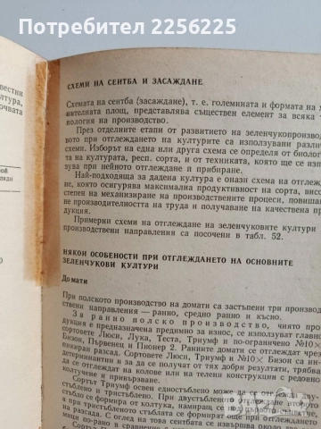Справочник по зеленчуко - производство, снимка 2 - Специализирана литература - 54763472