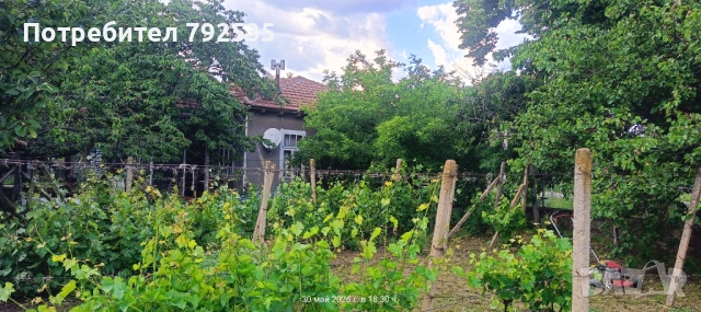 Продавам дворно място 2дка със стара къща в с. Борисово, обл. Русе, снимка 4 - Къщи - 54801509
