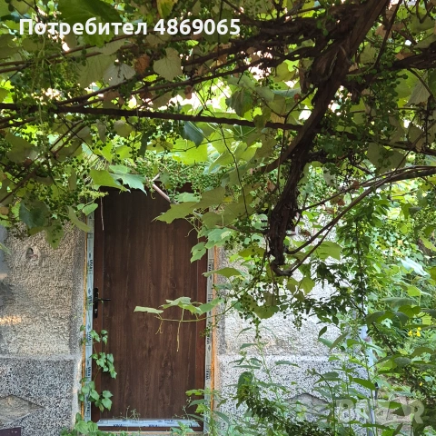 Продавам етаж от къща в град.Елена, снимка 3 - Къщи - 55072157