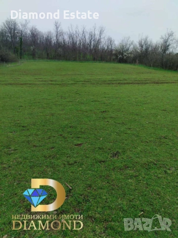 Двуетажна къща в село Брягово, обл. Пловдив, снимка 16 - Къщи - 54514898