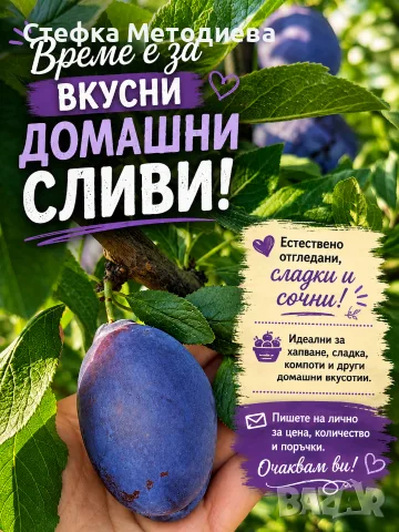 Домашни Сини сливи 