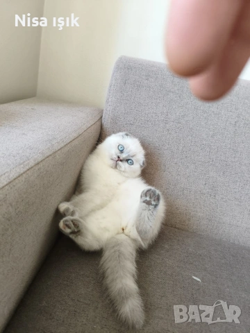 уникално момиченце уникален подарък за вашите любими в Хасково 