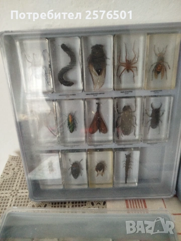 Буболечки и чудновати животинки , снимка 2 - Специализирана литература - 54082643