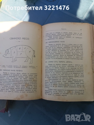 Стари книги, снимка 6 - Антикварни и старинни предмети - 54786581