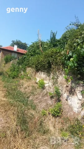 Парцел с основи на къща до асфалтов път в с. Новосел, снимка 4 - Къщи - 54882074