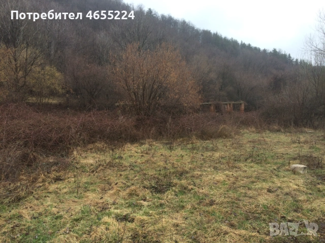 Кошара Чупрене, снимка 5 - Парцели - 54411151