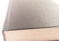 Библия - Вѣрно и точно преведена отъ оригинала, Printed in U.S.A., снимка 2
