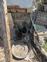 Продавам чифт джинки, снимка 2