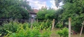 Продавам дворно място 2дка със стара къща в с. Борисово, обл. Русе, снимка 4