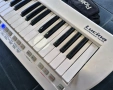 Roland Lucina AX-09 Synth Keytar (синтезатор-китара), снимка 3