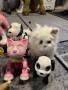 Интерактивни играчки Furby boom, Furreal Friends, Zoomer, Teksta, снимка 4