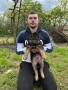 Продавам малки немски овчарки , снимка 4