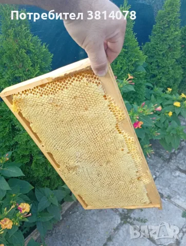 Продавам пчелен мед 