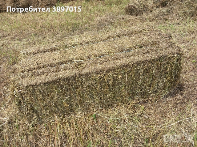 Продавам малки бали люцерна сено и слама с.ЛозеноблХасково телефон 0878509034, снимка 2 - За селскостопански - 54031529