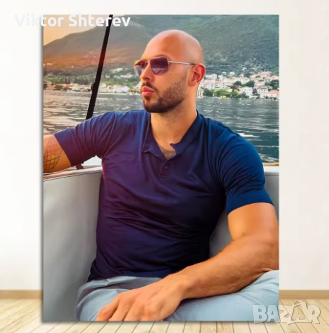 Andrew Tate Канвас Постери, снимка 2 - Пана - 55071295