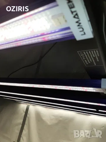 LUMATEK ZEUS 600W PRO