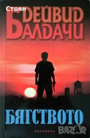 Книги на Дейвид Балдачи, снимка 4 - Художествена литература - 55193453