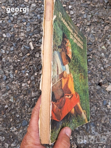 стара гнига Плетено облекло за децата 1985г.   35/4, снимка 8 - Специализирана литература - 55191143