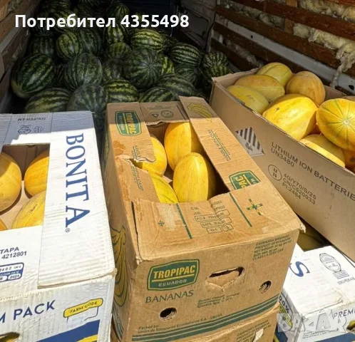 пъпеш и диня 🍉🍈🍉