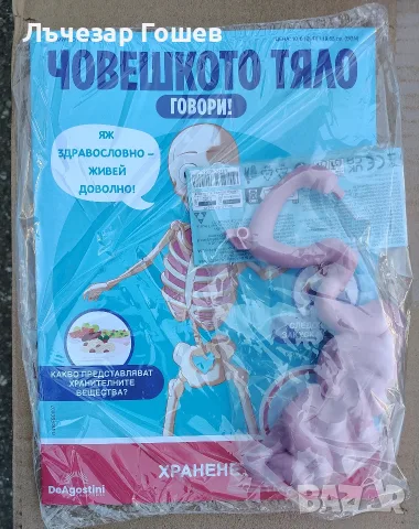 Човешкото тяло говори брой 29 -38 брой., снимка 6 - Колекции - 52217108