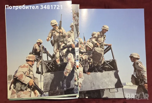 Victory in the Gulf, снимка 6 - История, политика и общество - 55363059