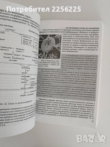 Физиология на човека и животните, снимка 3 - Специализирана литература - 55104758