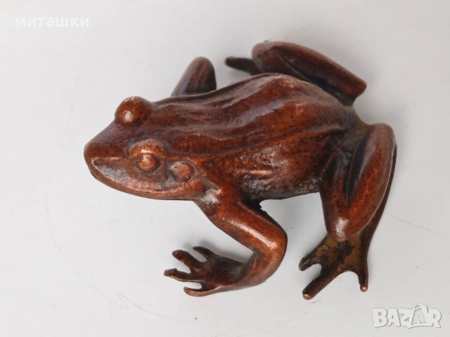Жаба, снимка 3 - Колекции - 54357828