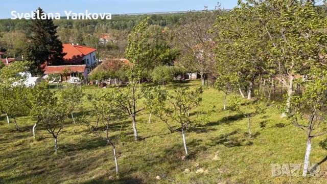 Продавам двор в Козлодуй , снимка 2 - Парцели - 54925343