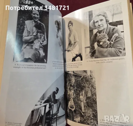 Singled Out. How Two Million Women Survived without Men After the First World War, снимка 6 - История, политика и общество - 55362789