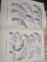 СССР кника РЕВОЛВЕРИ И ПИСТОЛЕТИ, снимка 3