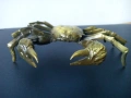 Рак Краб, снимка 6