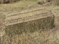 Продавам малки бали люцерна сено и слама с.ЛозеноблХасково телефон 0878509034, снимка 2