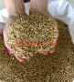 Фуражи,смески,жито,пшеница,ечемик,царевица,слънчоглед,кюспе,крави,телета,агнета,овце,пилета,кокошки., снимка 8