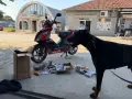 Aprilia sr50 2012 6500км , снимка 9
