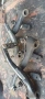 shimano v-brake br-m421, снимка 1
