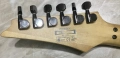 Ibanez RG350EX, снимка 5