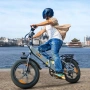 Сгъваемо електрическо колело HillMiles Mile 2 500W 36V 13Ah, снимка 6