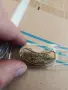 pin harley davidson, снимка 7