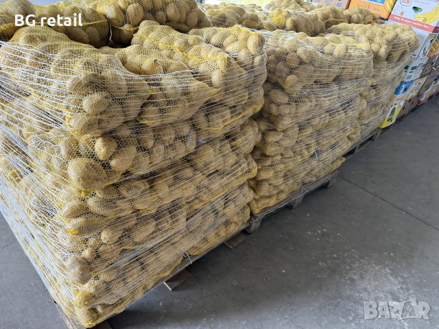 🥔✨ ПРОДАЖБА НА КАРТОФ! ✨🥔, снимка 2 - Домашни продукти - 43791892