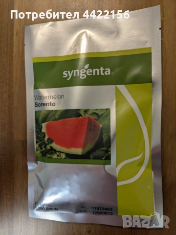 Семена за Диня Syngenta Sorento – 1000 бр. в опаковка