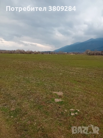 Продава  ПАРЦЕЛ гр.Дупница, снимка 9 - Парцели - 43800688