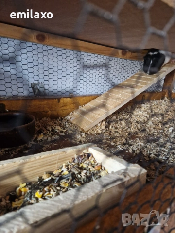 3 етажна Клетка  за морски свинчета, снимка 2 - Морски свинчета - 54180356